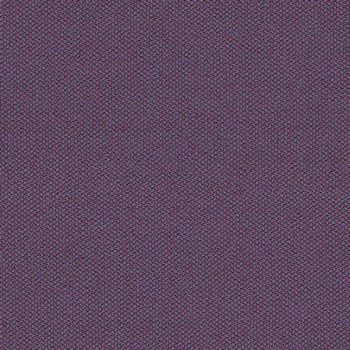 camira-era-cse09.jpg